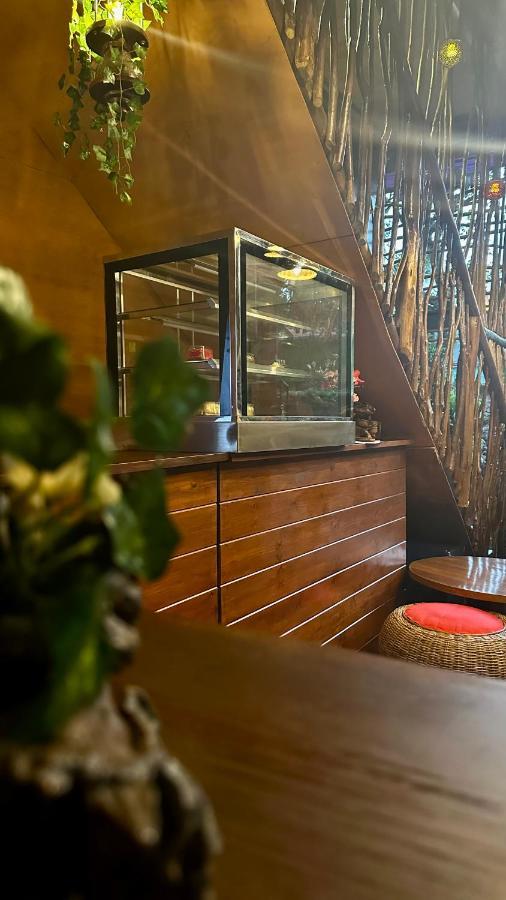 A Lounge Hostel And Cafe エッラ エクステリア 写真