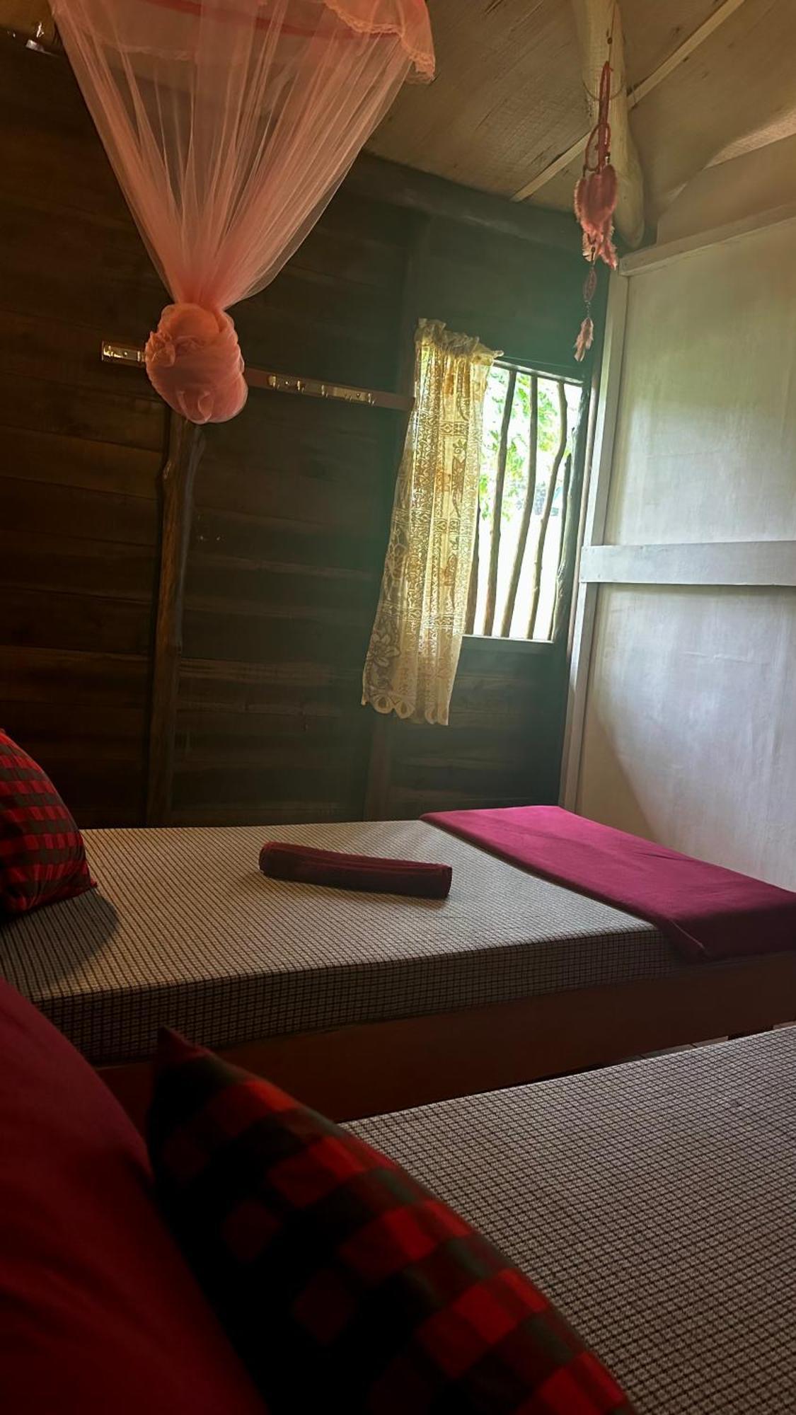 A Lounge Hostel And Cafe エッラ エクステリア 写真